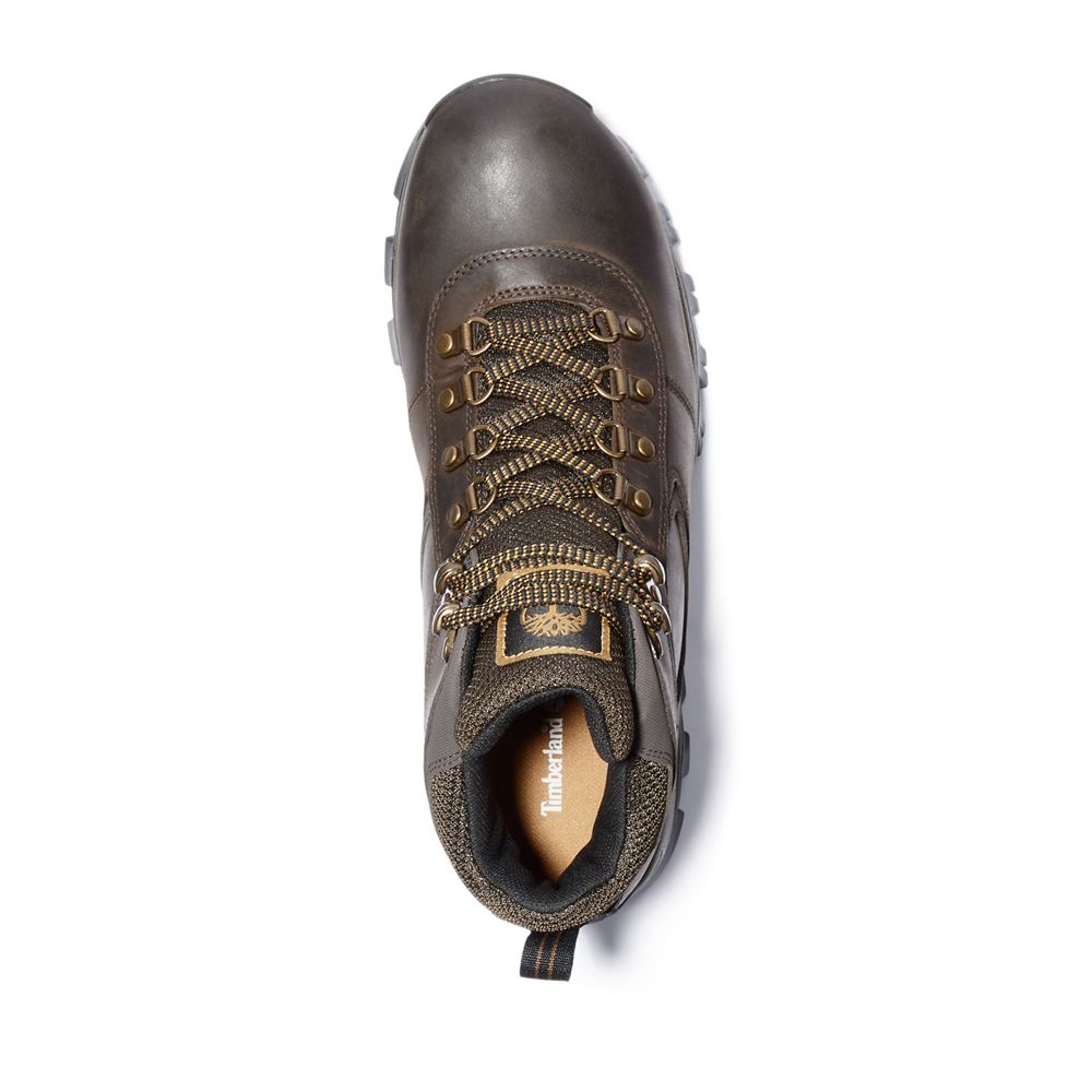 Botas de Montaña Timberland Hombre Mt. Maddsen Mid Waterproof Marrones Oscuro - Chile AOH-291086